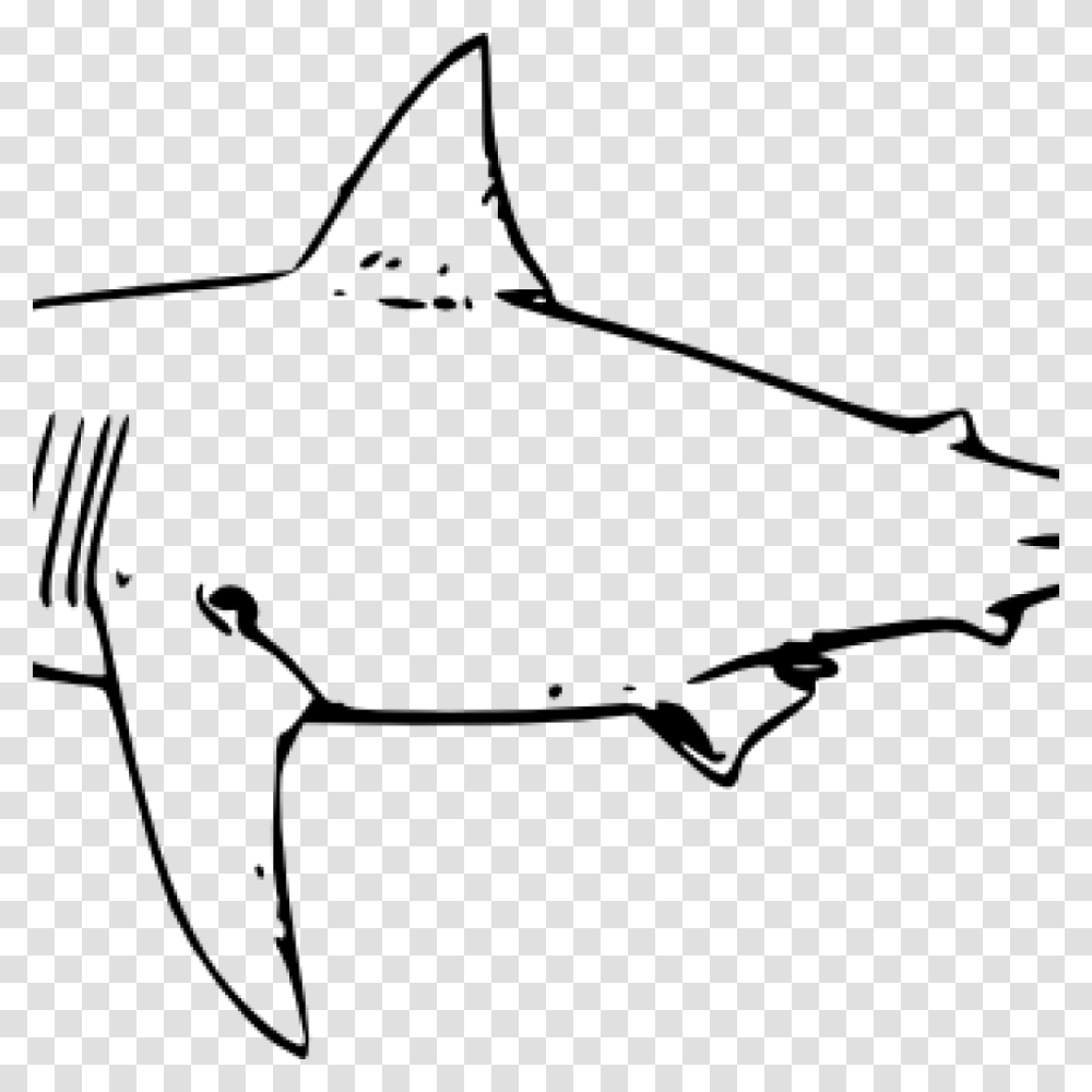 Shark Clipart Black And White Free Clipart Download, Gray, World Of Warcraft Transparent Png