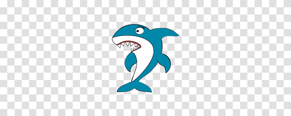 Shark Clipart Free Download, Sea Life, Animal, Mammal, Dolphin Transparent Png