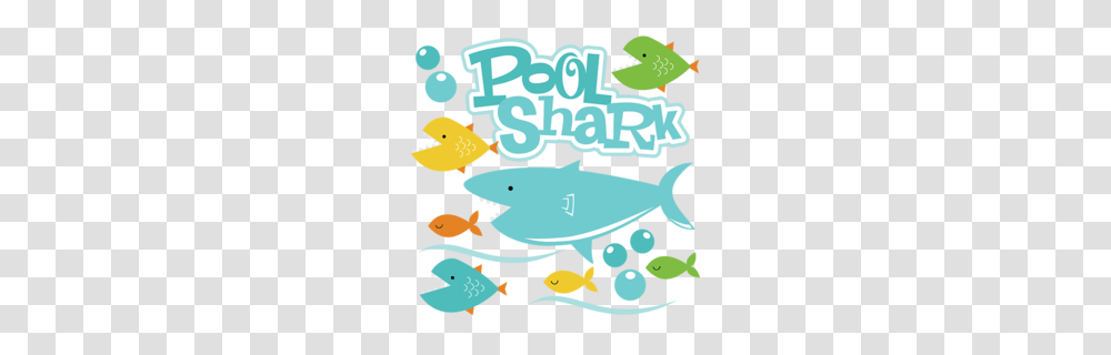 Shark Clipart, Sea Life, Animal, Poster, Advertisement Transparent Png