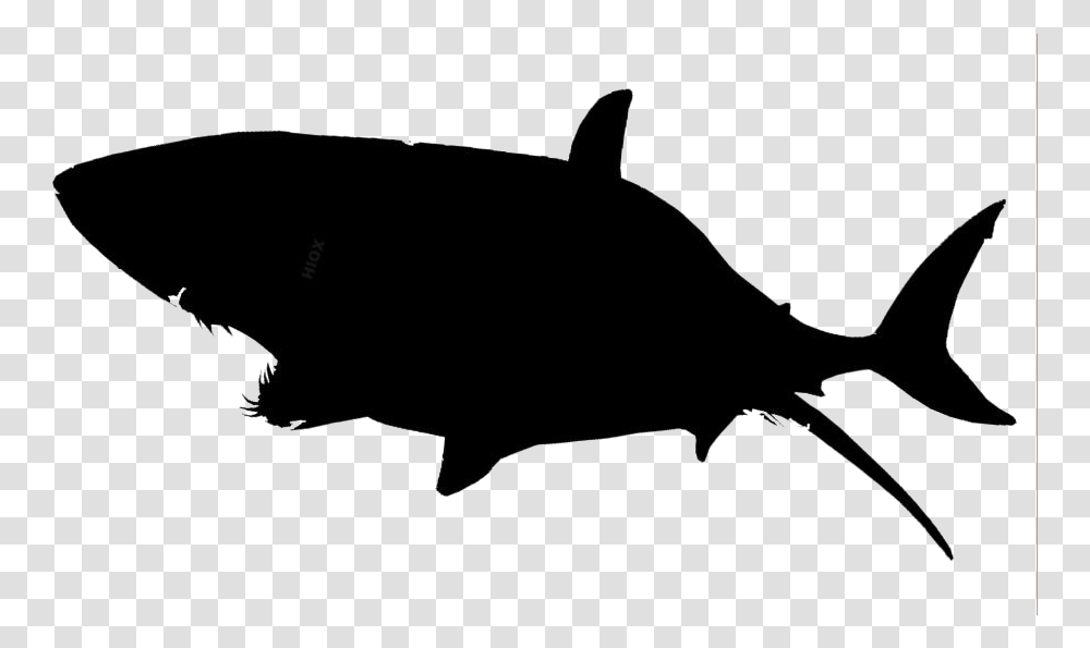 Shark Clipart Shark Image Great White Shark, Fish, Animal, Sea Life, Silhouette Transparent Png