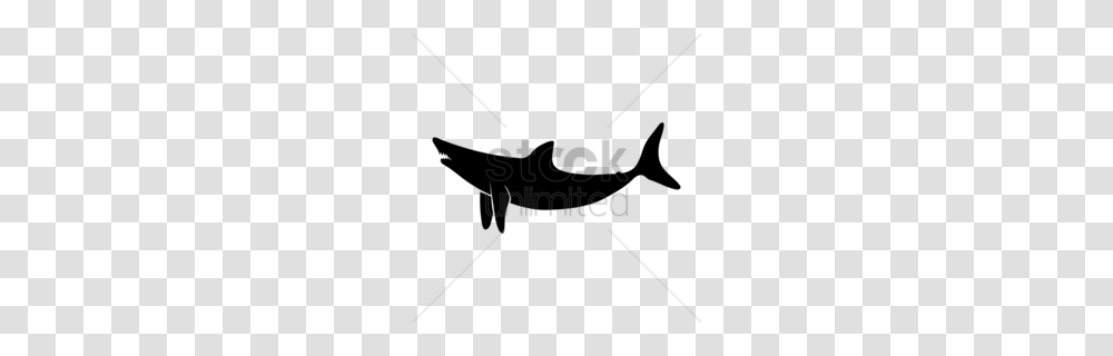 Shark Clipart, Silhouette, Label, Bow Transparent Png