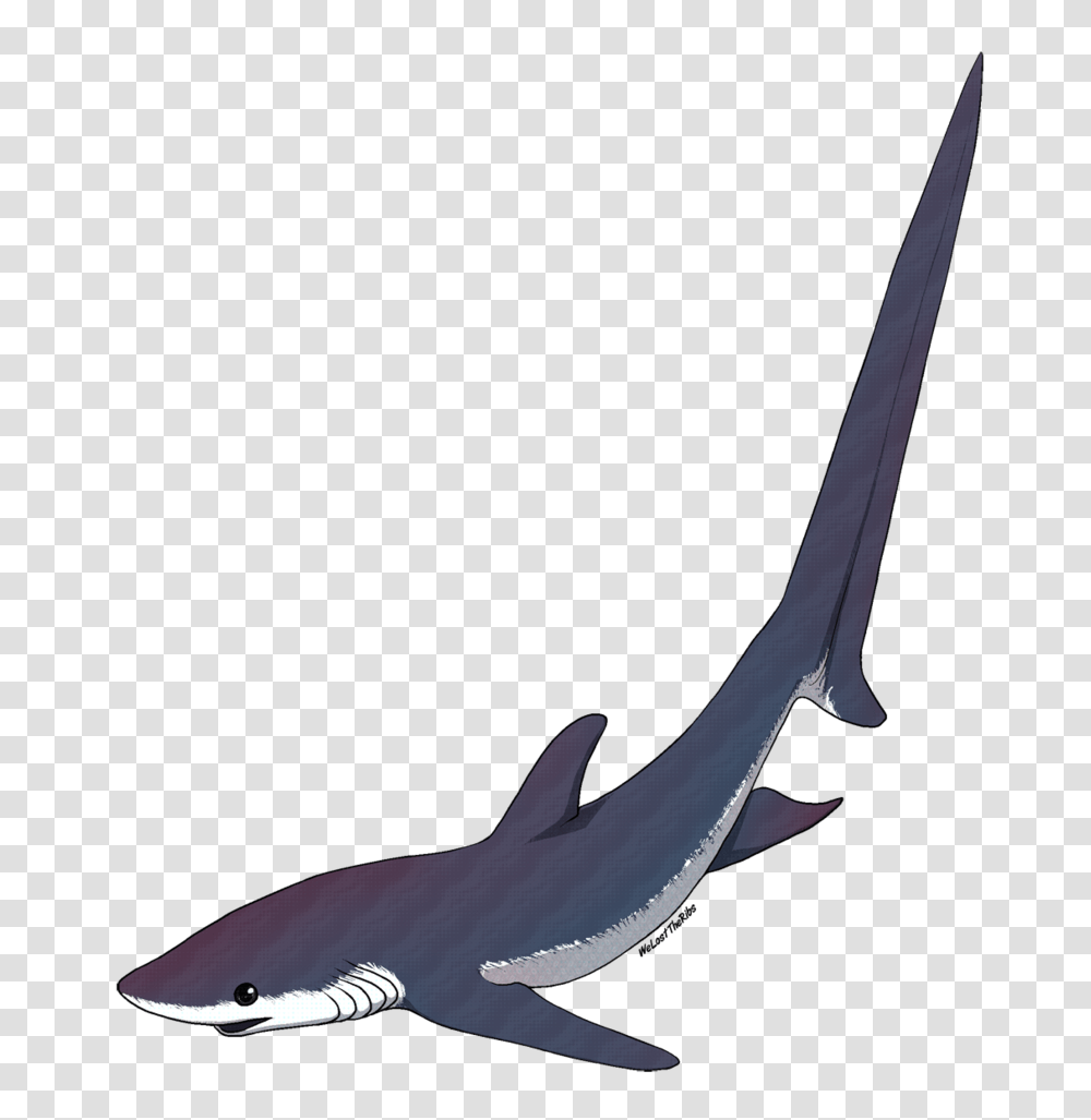 Shark Clipart Watercolor, Sea Life, Animal, Fish, Bird Transparent Png