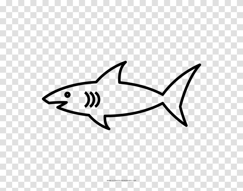 Shark Coloring Pages, Gray, World Of Warcraft Transparent Png