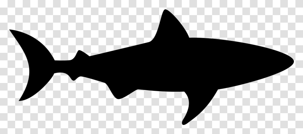 Shark Facing Right Shark Silhouette, Sea Life, Fish, Animal, Stencil Transparent Png