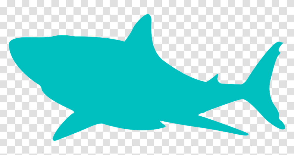 Shark Fin Clipart, Axe, Tool, Sea Life, Animal Transparent Png