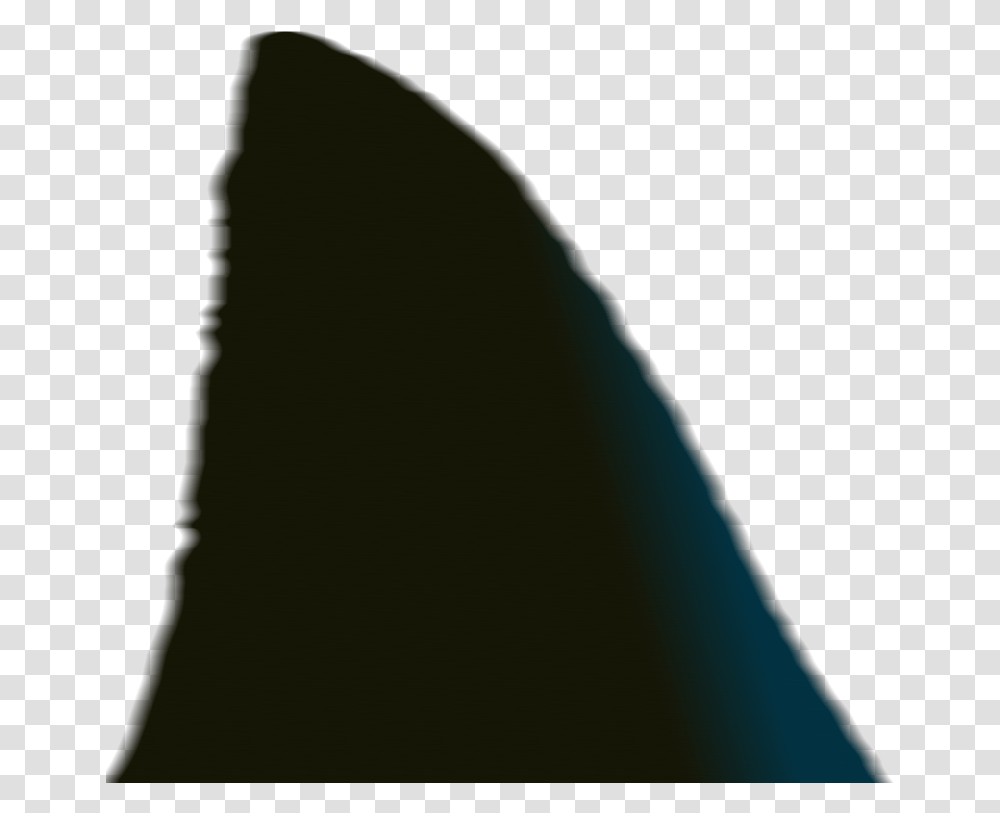 Shark Fin Wood, Triangle, Lighting, Astronomy, Outer Space Transparent Png