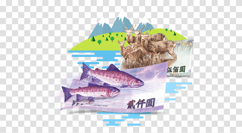Shark, Fish, Animal, Sea Life, Advertisement Transparent Png