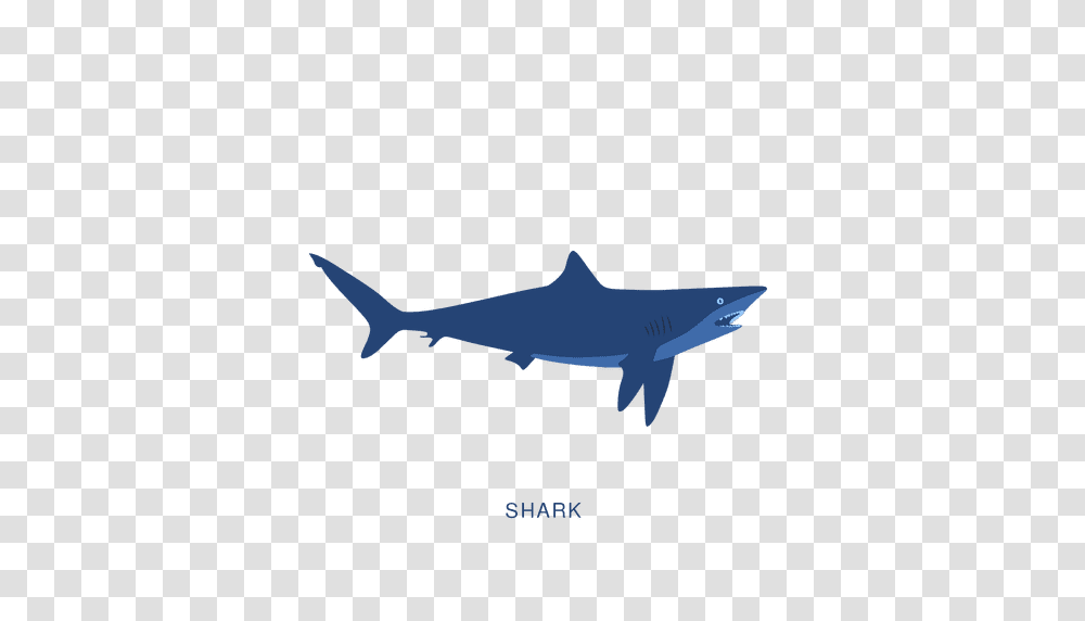 Shark Fish Fishing Animal, Sea Life, Great White Shark, Swordfish Transparent Png