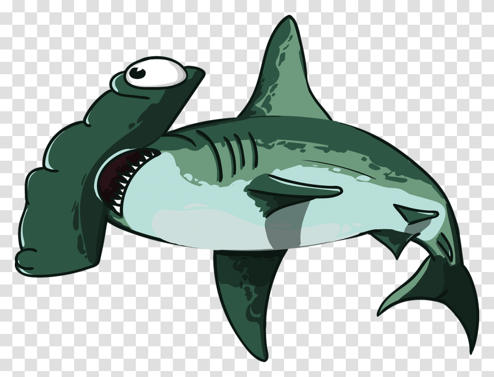 Shark Fish Hammer Predator Teeth Mouth Sea Shark Head, Sea Life, Animal, Great White Shark Transparent Png
