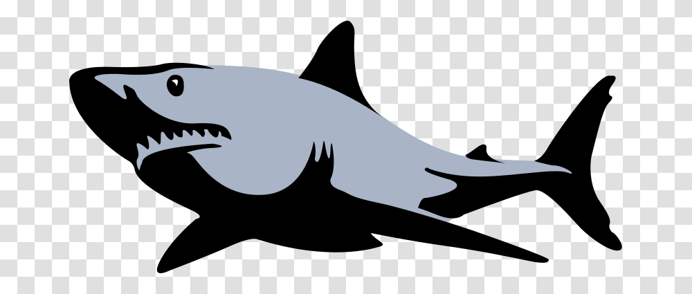 Shark Free Download Vector, Sea Life, Fish, Animal, Amphibian Transparent Png