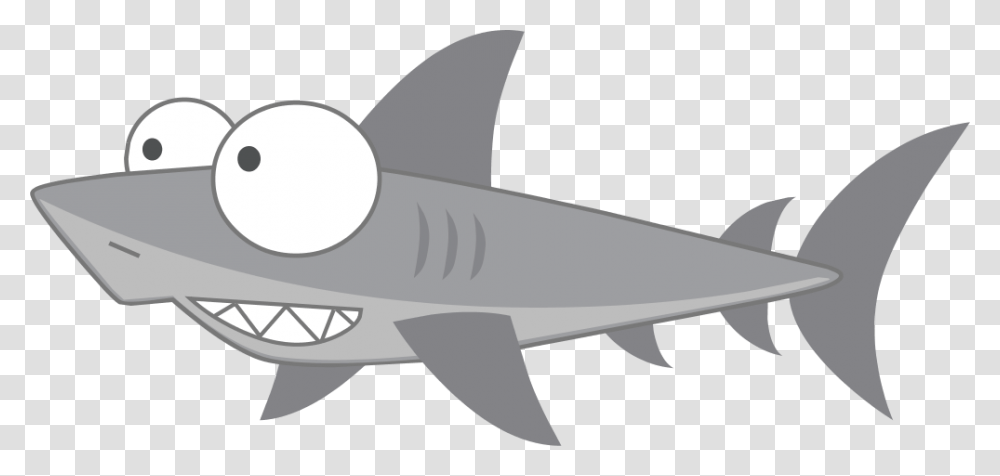 Shark Great White Shark, Fish, Animal, Sea Life, Airplane Transparent Png
