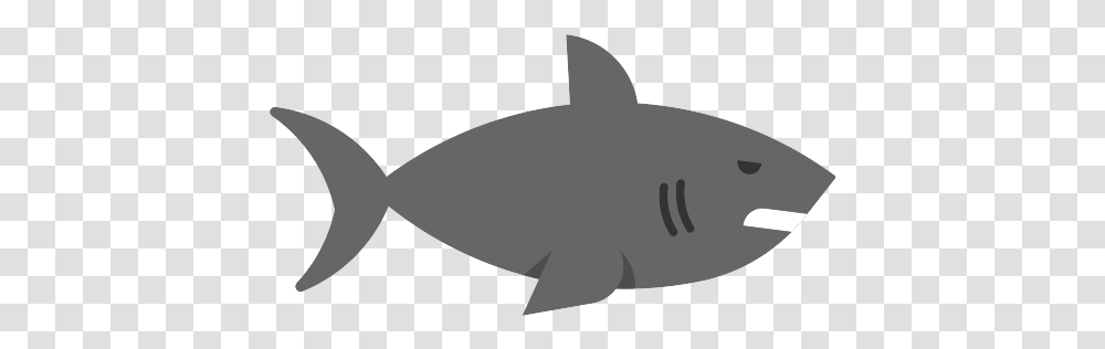 Shark Icon Icon, Sea Life, Fish, Animal, Great White Shark Transparent Png