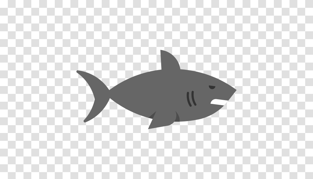 Shark Icons And Graphics, Sea Life, Fish, Animal, Great White Shark Transparent Png