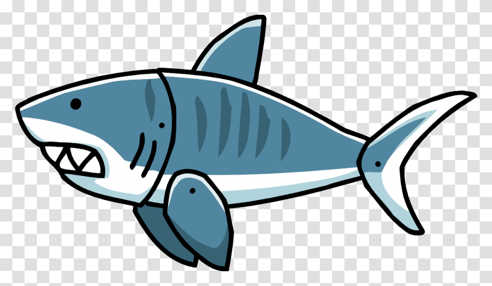 Shark Images, Sunglasses, Accessories, Fish, Animal Transparent Png