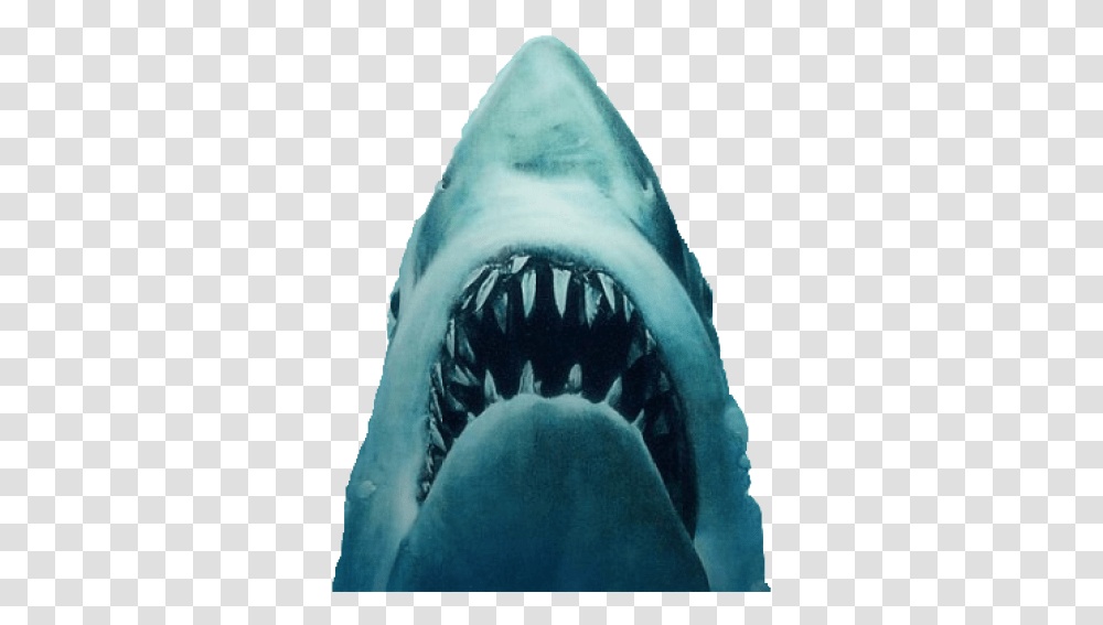 Shark Jaws Jaws Poster, Great White Shark, Sea Life, Fish, Animal Transparent Png