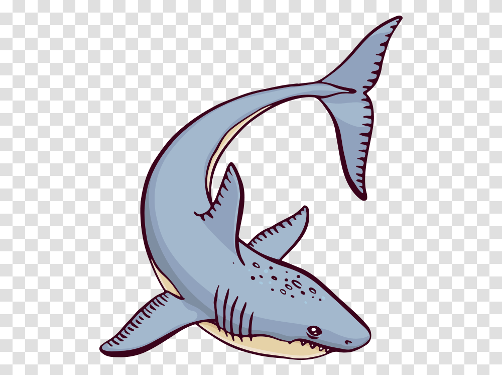 Shark Ocean Sea Cartoon Great White Shark, Sea Life, Fish, Animal Transparent Png
