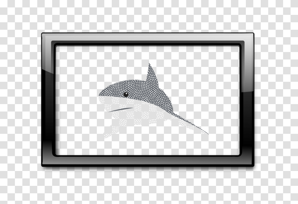 Shark Picture Frames Computer Icons Wall, Sea Life, Fish, Animal, Bird Transparent Png