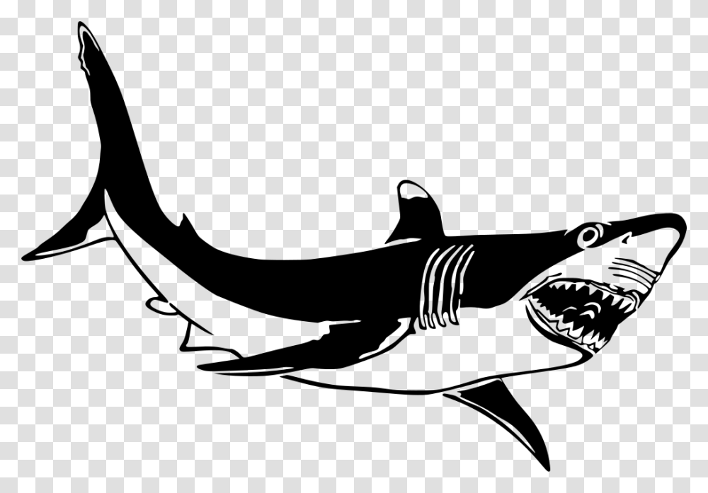 Shark Pictures Black And White, Gray, World Of Warcraft Transparent Png
