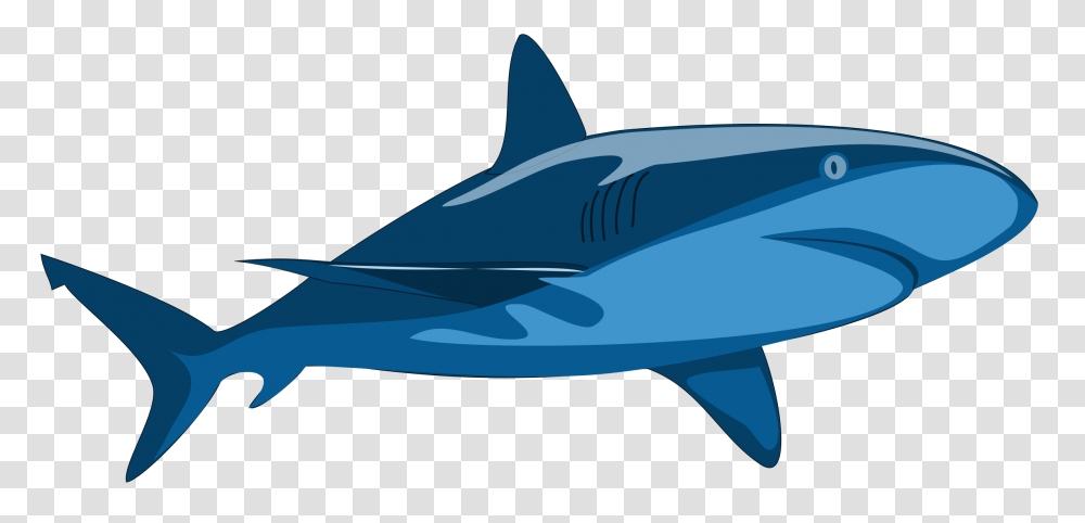 Shark Pure Icons, Sea Life, Fish, Animal, Great White Shark Transparent Png