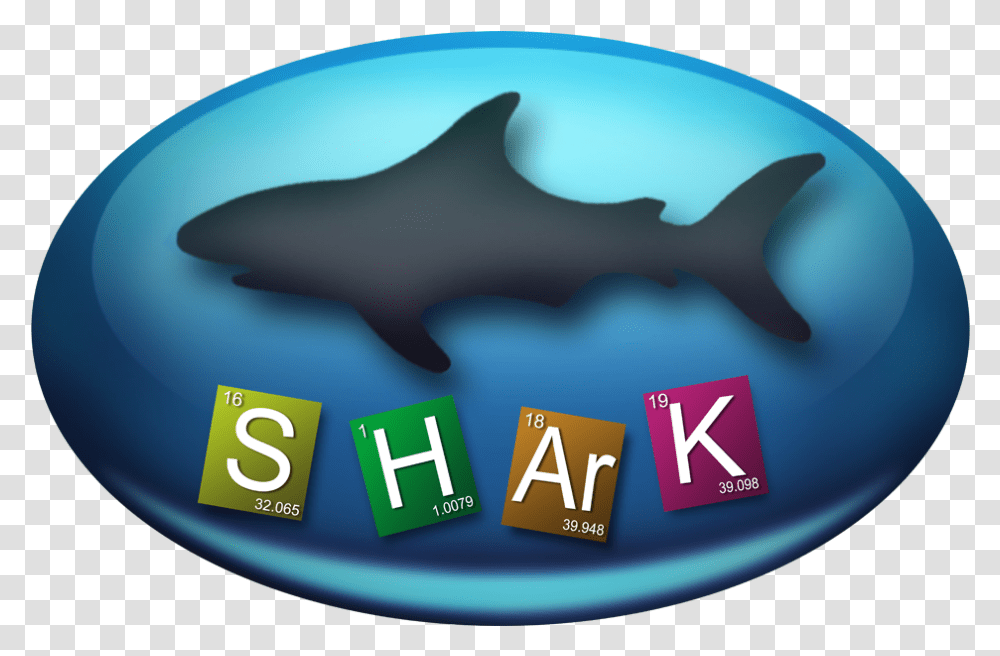 Shark Requiem Sharks, Sea Life, Animal, Fish, Mammal Transparent Png