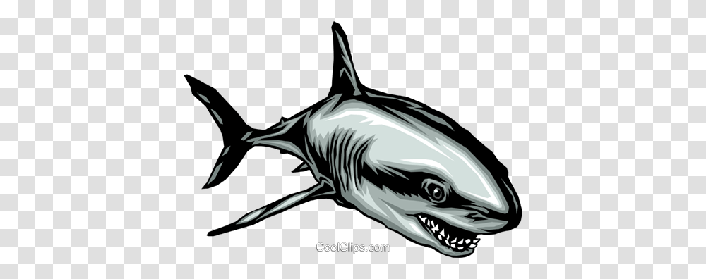 Shark Royalty Free Vector Clip Art Illustration, Bird, Animal, Sea Life, Mammal Transparent Png