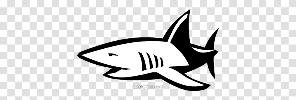 Shark Royalty Free Vector Clip Art Illustration, Sea Life, Animal, Fish, Mammal Transparent Png