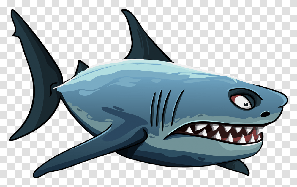 Shark, Sea Life, Animal, Fish, Great White Shark Transparent Png