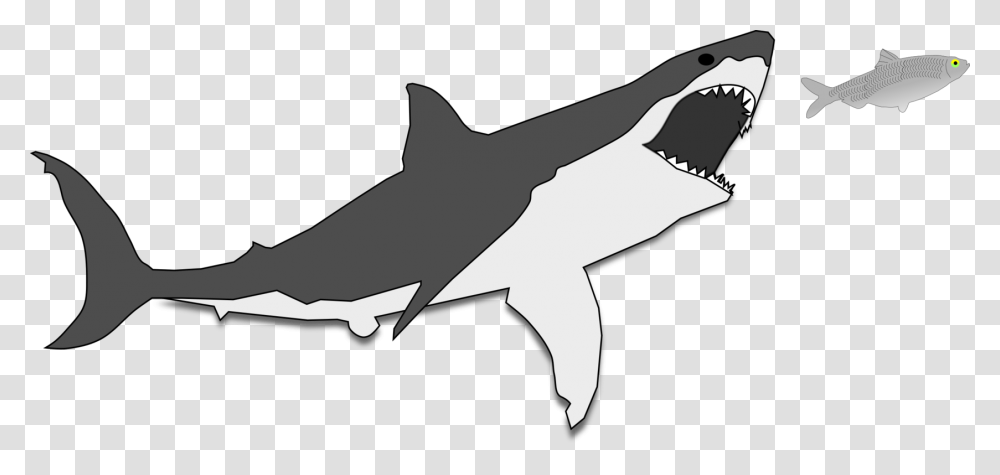 Shark, Sea Life, Fish, Animal, Axe Transparent Png