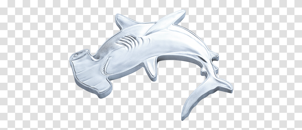 Shark, Sea Life, Fish, Animal, Horse Transparent Png