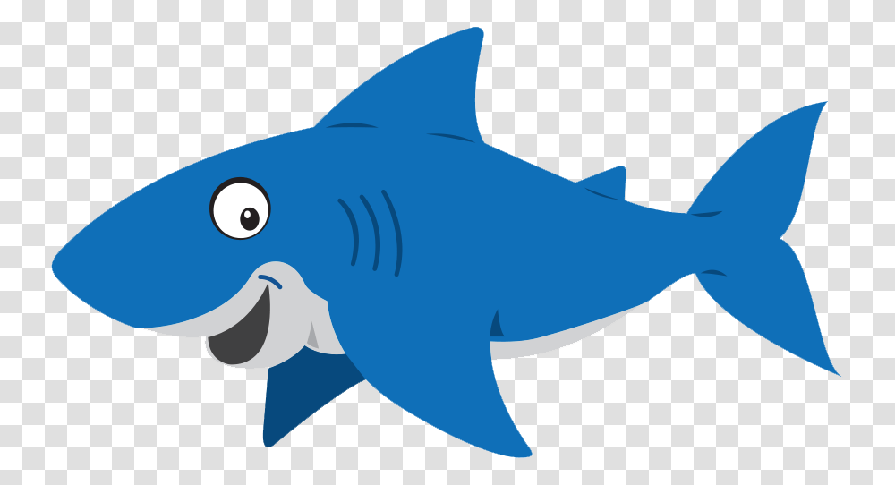 Shark, Sea Life, Fish, Animal, Mammal Transparent Png