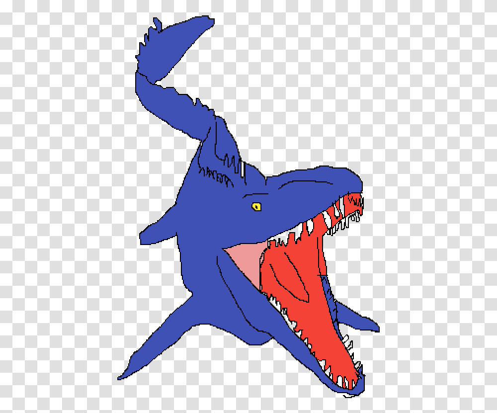 Shark, Sea Life, Fish, Animal, Teeth Transparent Png