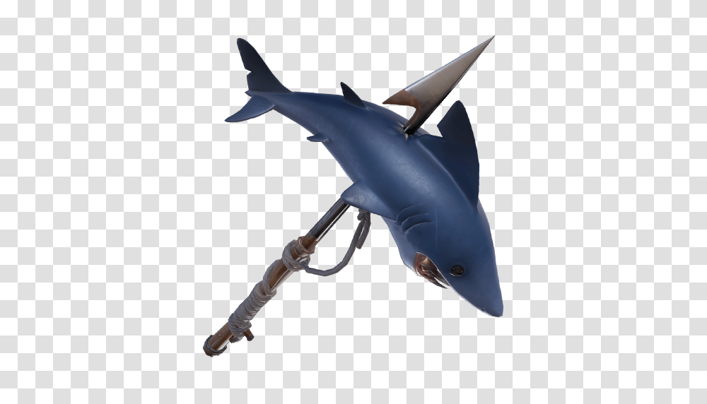 Shark, Sea Life, Fish, Animal Transparent Png