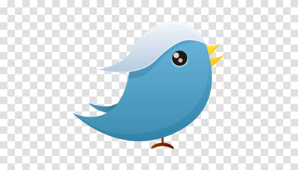 Shark, Sea Life, Fish, Animal Transparent Png