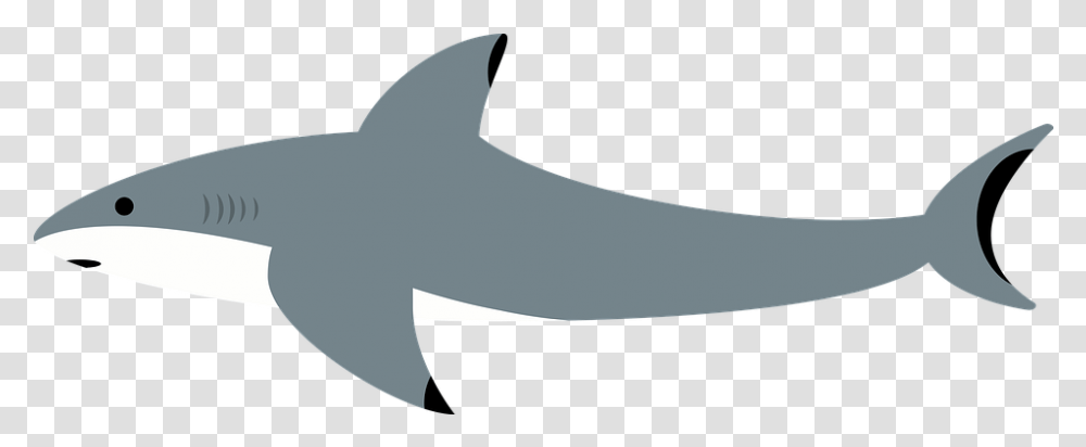 Shark Sea Water Free Image On Pixabay Tipos De Tubares, Axe, Tool, Sea Life, Fish Transparent Png
