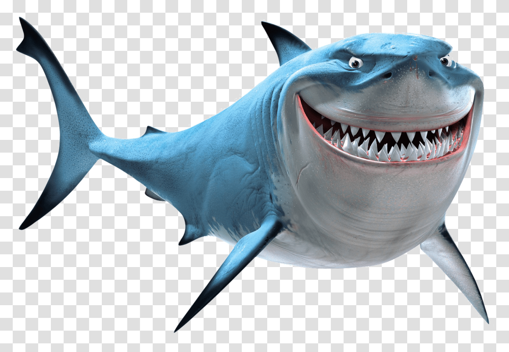 Shark Shark From Finding Nemo, Sea Life, Fish, Animal, Great White Shark Transparent Png