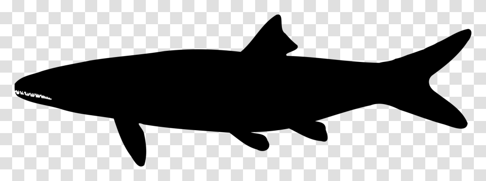 Shark Silhouette Drawing Computer Icons Black, Gray, World Of Warcraft Transparent Png