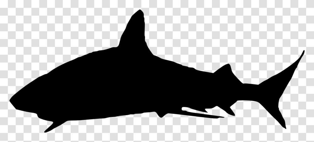 Shark Silhouette, Sea Life, Animal, Mammal, Whale Transparent Png