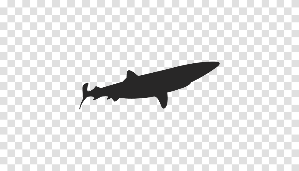 Shark Silhouette, Sea Life, Fish, Animal, Great White Shark Transparent Png