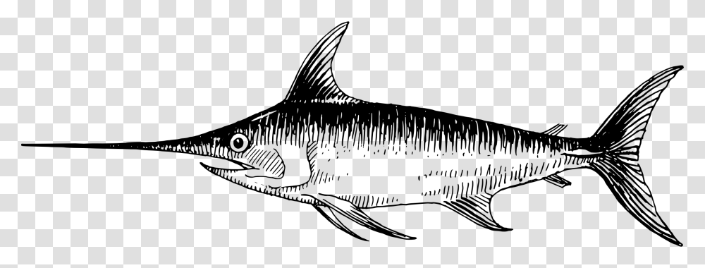 Shark Sketch Pictures Swordfish Clipart Black And White, Gray, World Of Warcraft Transparent Png