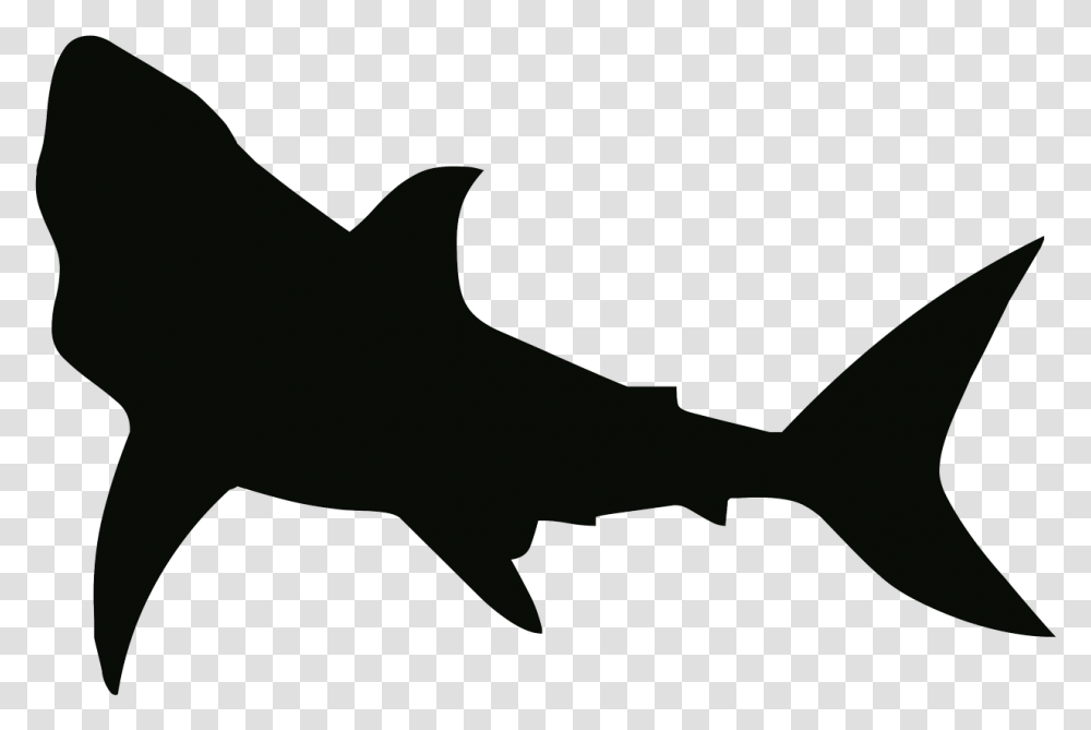 Shark Stencil, Sea Life, Fish, Animal, Great White Shark Transparent Png