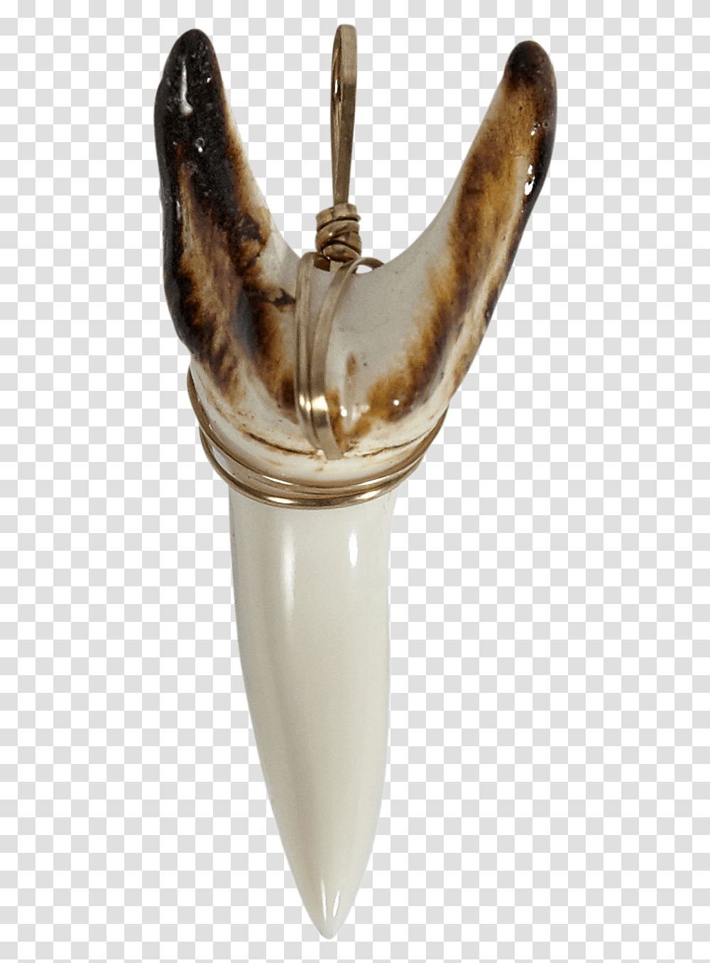 Shark Teeth Burnt Gold Wired Deer, Building, Pillar, Architecture, Ivory Transparent Png