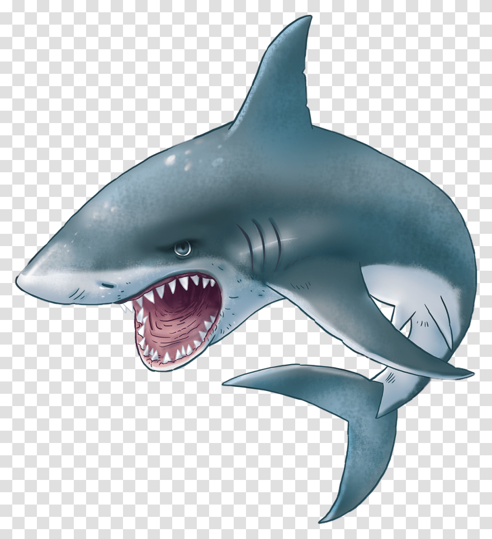 Shark Teeth Scary Water Animal Sharks Evil Freetoedit, Sea Life, Fish, Great White Shark, Mammal Transparent Png