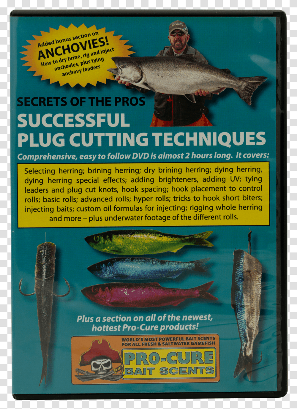 Shark Transparent Png