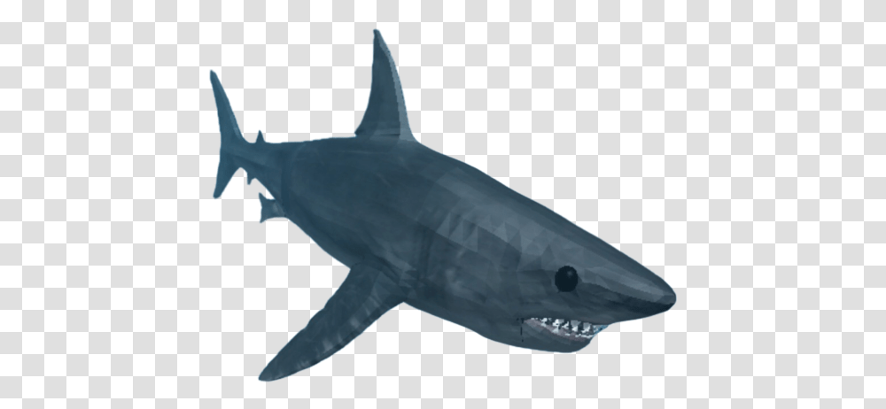 Shark Whatever Floats Your Boat Roblox Shark, Sea Life, Fish, Animal, Great White Shark Transparent Png