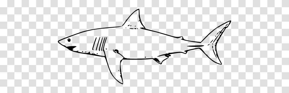 Shark Wheatpaste Luke Clip Art, Fish, Animal, Sea Life, Bow Transparent Png