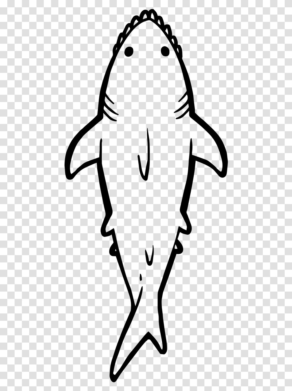 Sharks, Gray, World Of Warcraft Transparent Png