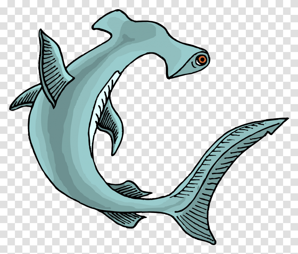 Sharks Image File, Sea Life, Animal, Fish, Mammal Transparent Png