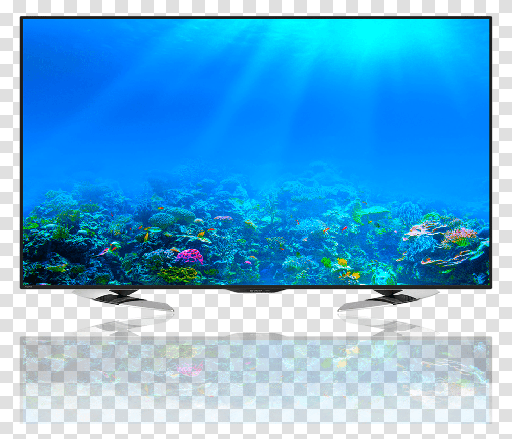 Sharp Led Tv Ocean With Coral Reef, Water, Nature, Outdoors, Underwater Transparent Png