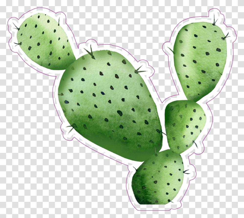 Sharp Watercolor Cactus Sticker Watercolor Cactus, Plant Transparent Png