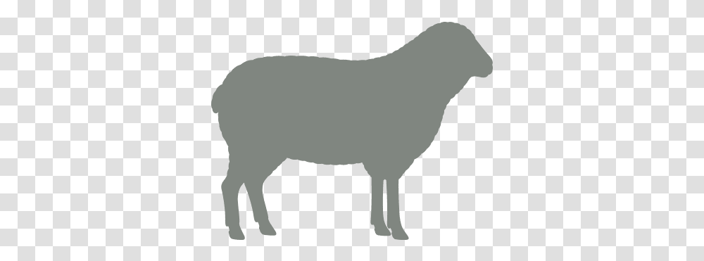 Shaun Animal Figure, Mammal, Sheep, Pig, Goat Transparent Png